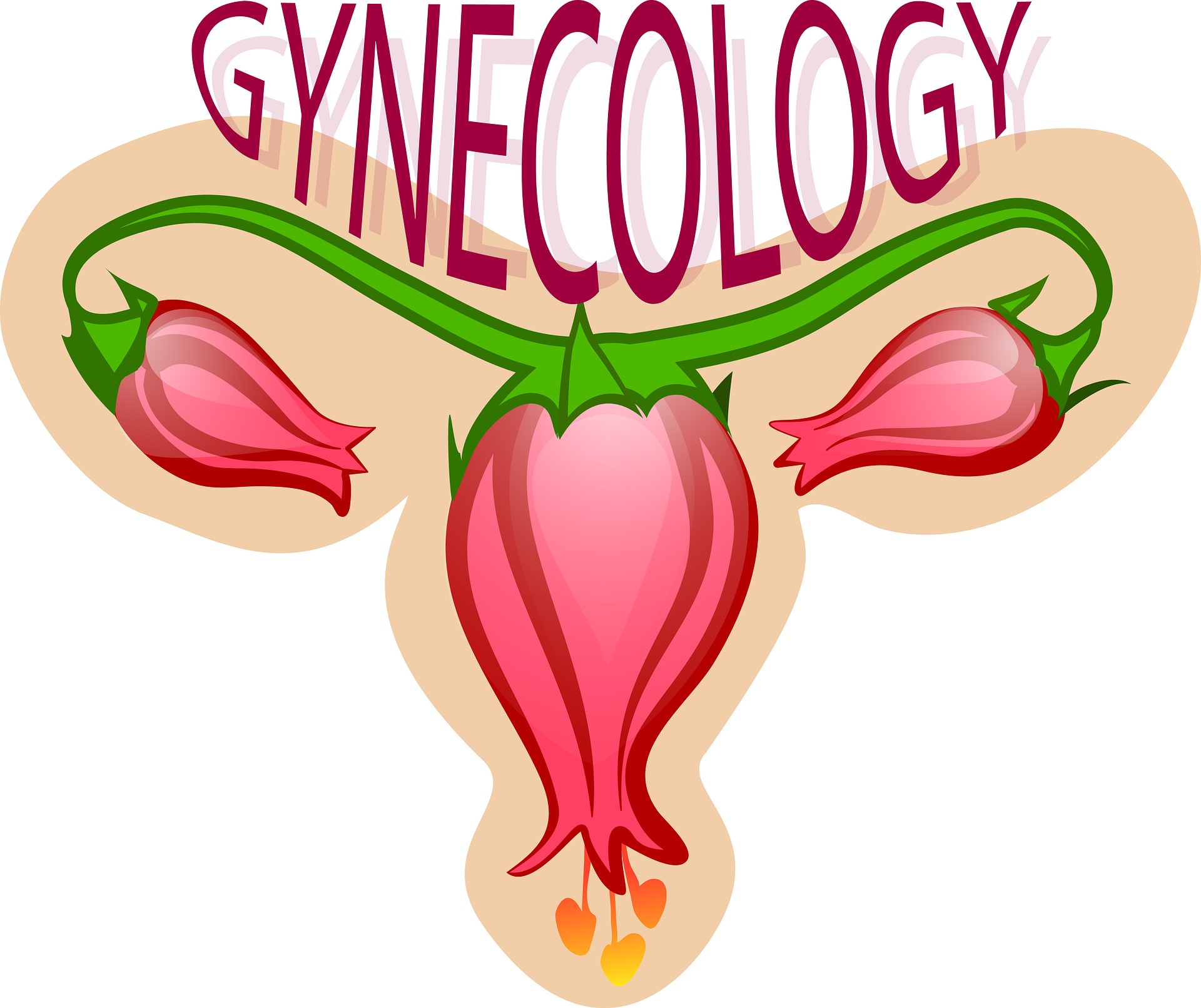 gynecology-2533145_1920